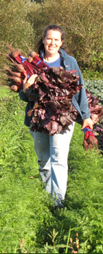 FarmGirl harvesting beets